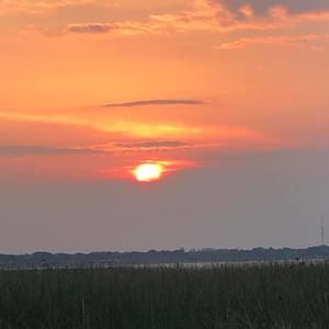 Meet your Posher, Benjamin